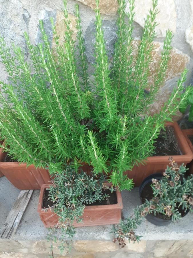 סקפאטי Appartamento House Ida מראה חיצוני תמונה
